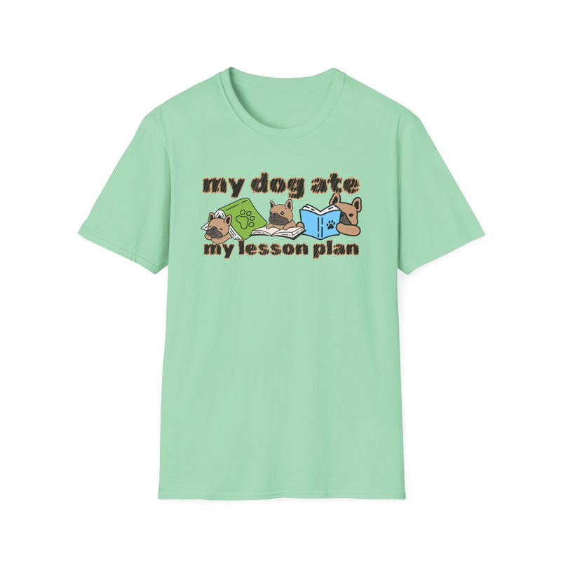 My dog ate my lesson plan