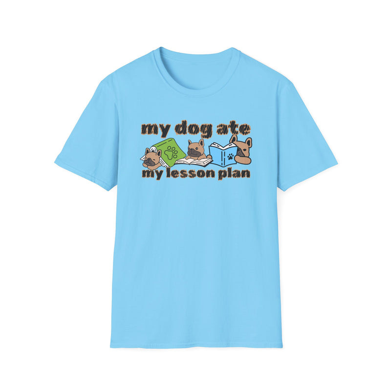 My dog ate my lesson plan