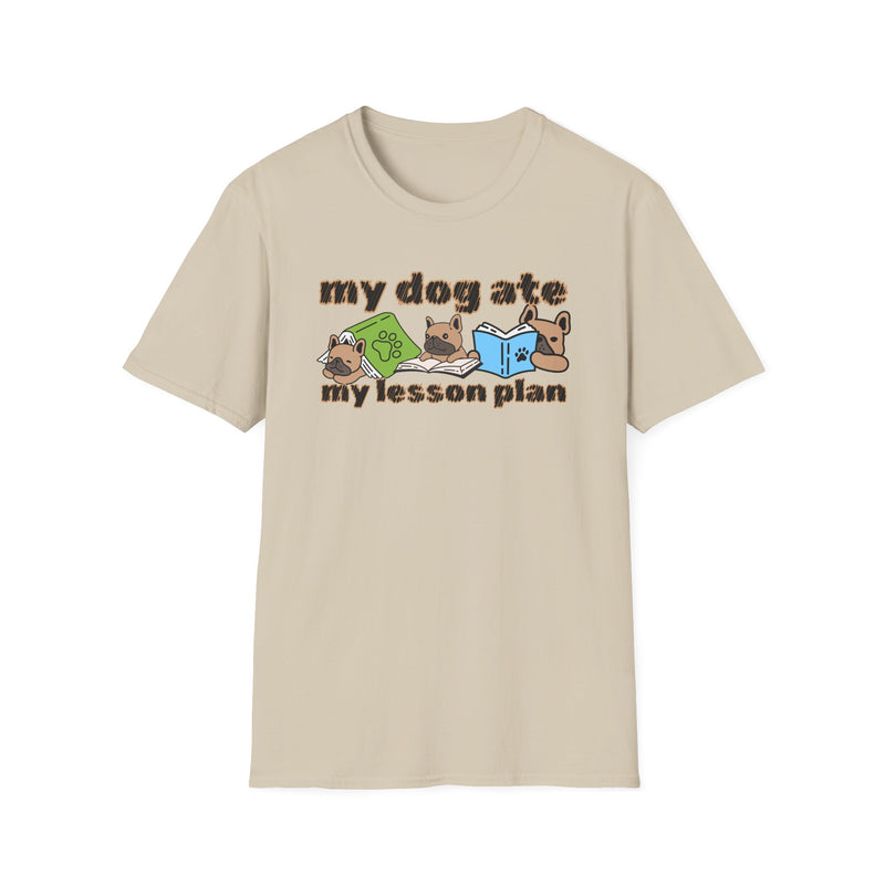 My dog ate my lesson plan