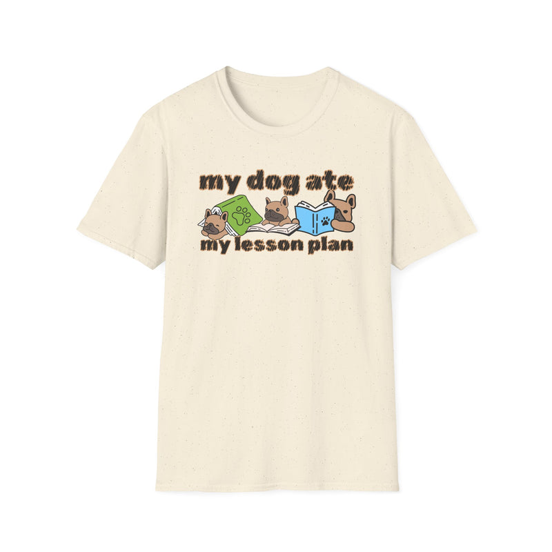 My dog ate my lesson plan