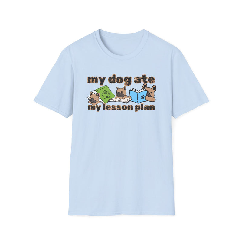 My dog ate my lesson plan