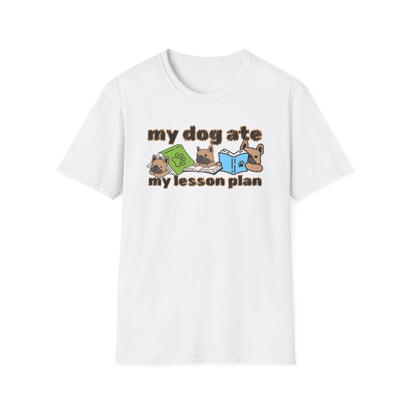 My dog ate my lesson plan